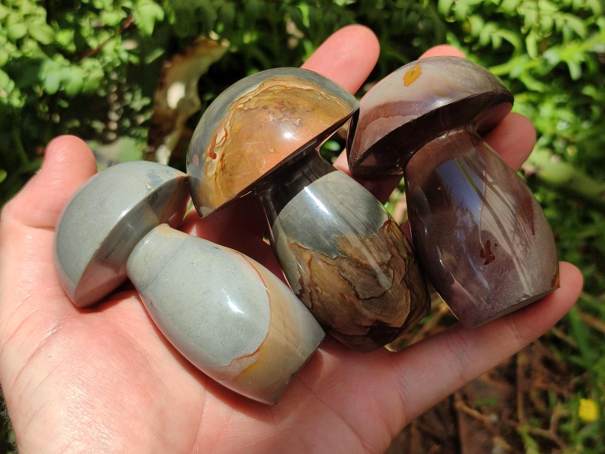 Polished Polychrome Jasper Mushrooms x 5 From NW Coast, Madagascar