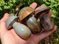 Polished Polychrome Jasper Mushrooms x 5 From NW Coast, Madagascar