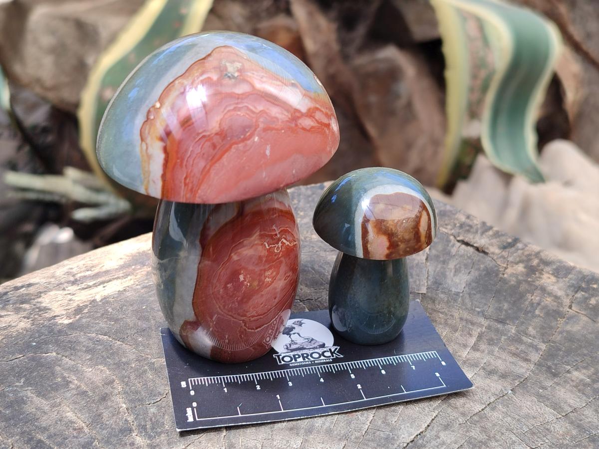 Polished Polychrome Jasper Mushrooms x 5 From NW Coast, Madagascar