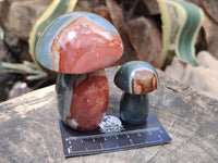 Polished Polychrome Jasper Mushrooms x 5 From NW Coast, Madagascar