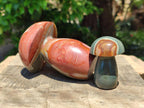 Polished Polychrome Jasper Mushrooms x 5 From NW Coast, Madagascar - Toprock Gemstones and Minerals 