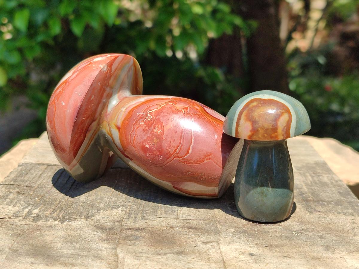 Polished Polychrome Jasper Mushrooms x 5 From NW Coast, Madagascar