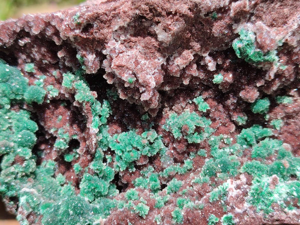 Natural Drusy Coated Ball Malachite with Drusy Quartz On Dolomite Specimen x 1 From Mindingi Mine, Kambove, Congo