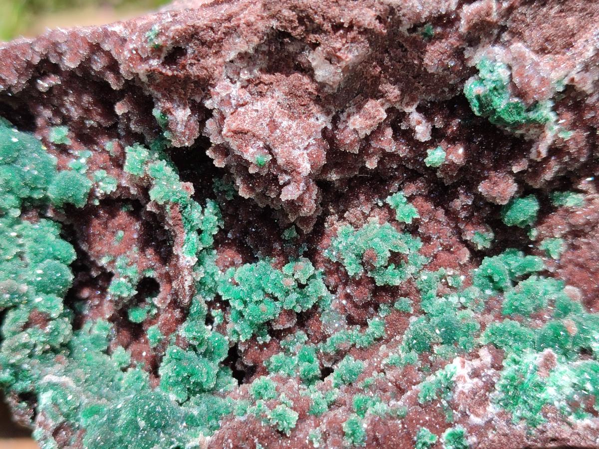 Natural Drusy Coated Ball Malachite with Drusy Quartz On Dolomite Specimen x 1 From Mindingi Mine, Kambove, Congo