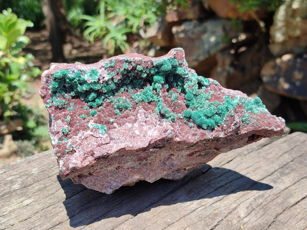 Natural Drusy Coated Ball Malachite with Drusy Quartz On Dolomite Specimen x 1 From Mindingi Mine, Kambove, Congo