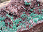 Natural Drusy Coated Ball Malachite with Drusy Quartz On Dolomite Specimen x 1 From Mindingi Mine, Kambove, Congo