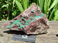 Natural Drusy Coated Ball Malachite with Drusy Quartz On Dolomite Specimen x 1 From Mindingi Mine, Kambove, Congo