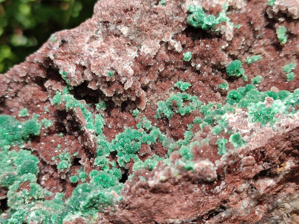Natural Drusy Coated Ball Malachite with Drusy Quartz On Dolomite Specimen x 1 From Mindingi Mine, Kambove, Congo