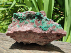 Natural Drusy Coated Ball Malachite with Drusy Quartz On Dolomite Specimen x 1 From Mindingi Mine, Kambove, Congo