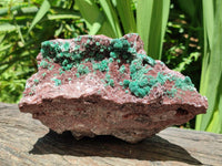 Natural Drusy Coated Ball Malachite with Drusy Quartz On Dolomite Specimen x 1 From Mindingi Mine, Kambove, Congo
