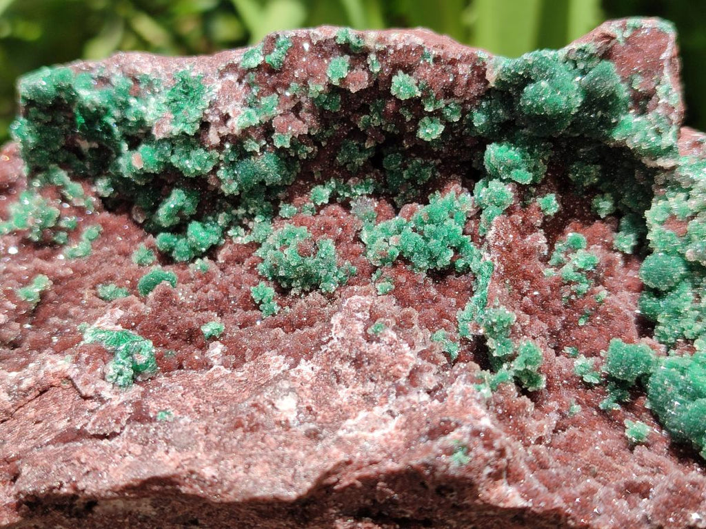 Natural Drusy Coated Ball Malachite with Drusy Quartz On Dolomite Specimen x 1 From Mindingi Mine, Kambove, Congo