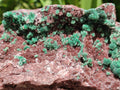 Natural Drusy Coated Ball Malachite with Drusy Quartz On Dolomite Specimen x 1 From Mindingi Mine, Kambove, Congo