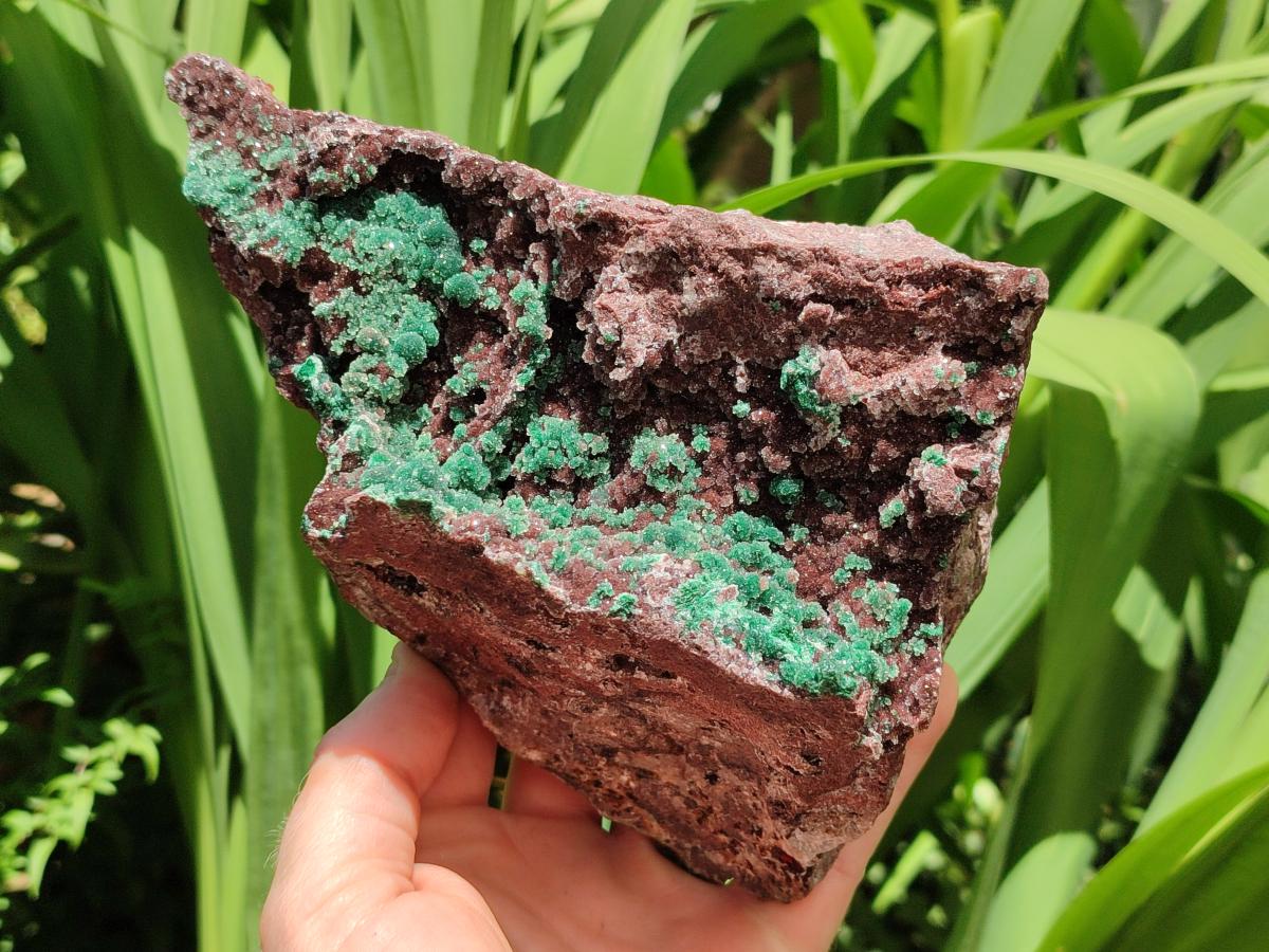 Natural Drusy Coated Ball Malachite with Drusy Quartz On Dolomite Specimen x 1 From Mindingi Mine, Kambove, Congo