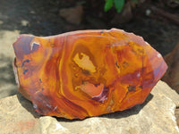Polished On One Side Jupiter Jasper Specimens x 2 From South Africa
