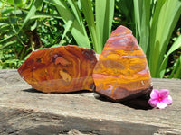 Polished On One Side Jupiter Jasper Specimens x 2 From South Africa
