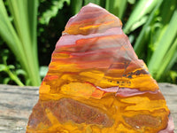 Polished On One Side Jupiter Jasper Specimens x 2 From South Africa