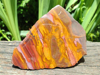 Polished On One Side Jupiter Jasper Specimens x 2 From South Africa