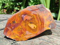 Polished On One Side Jupiter Jasper Specimens x 2 From South Africa