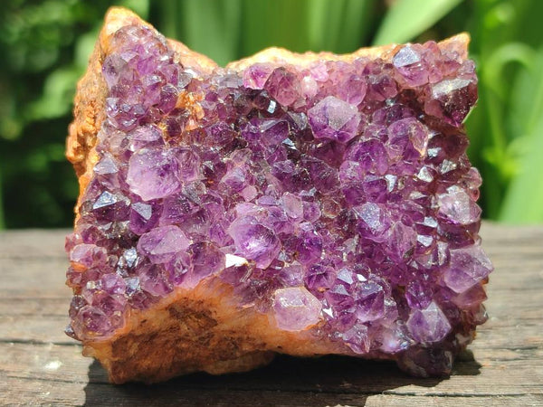 Natural Dark Purple Amethyst Spirit Quartz Clusters x 5 From Boekenhouthoek, South Africa