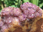 Natural Dark Purple Amethyst Spirit Quartz Clusters x 5 From Boekenhouthoek, South Africa