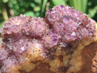 Natural Dark Purple Amethyst Spirit Quartz Clusters x 5 From Boekenhouthoek, South Africa
