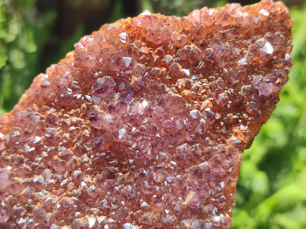 Natural Dark Purple Amethyst Spirit Quartz Clusters x 5 From Boekenhouthoek, South Africa