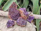 Natural Dark Purple Amethyst Spirit Quartz Clusters x 5 From Boekenhouthoek, South Africa