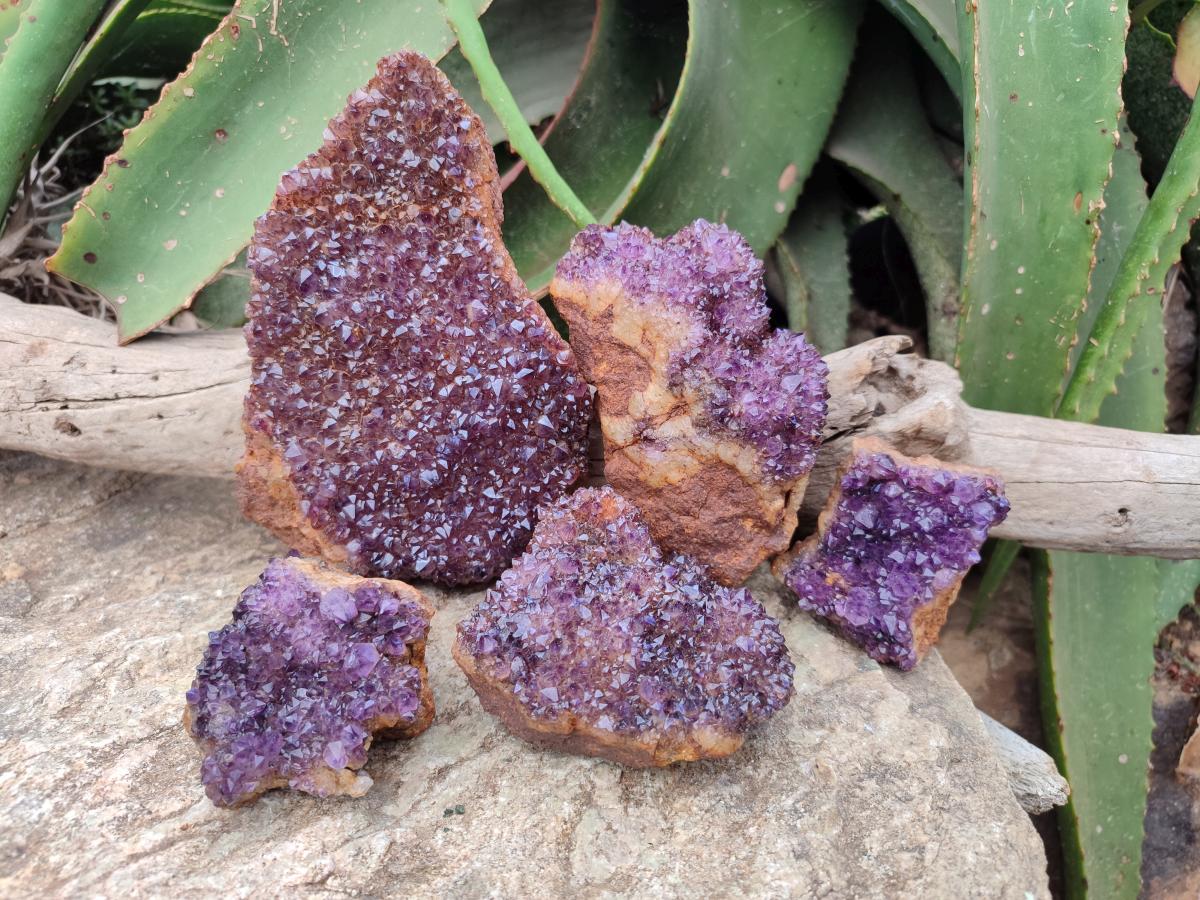 Natural Dark Purple Amethyst Spirit Quartz Clusters x 5 From Boekenhouthoek, South Africa