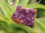 Natural Dark Purple Amethyst Spirit Quartz Clusters x 5 From Boekenhouthoek, South Africa