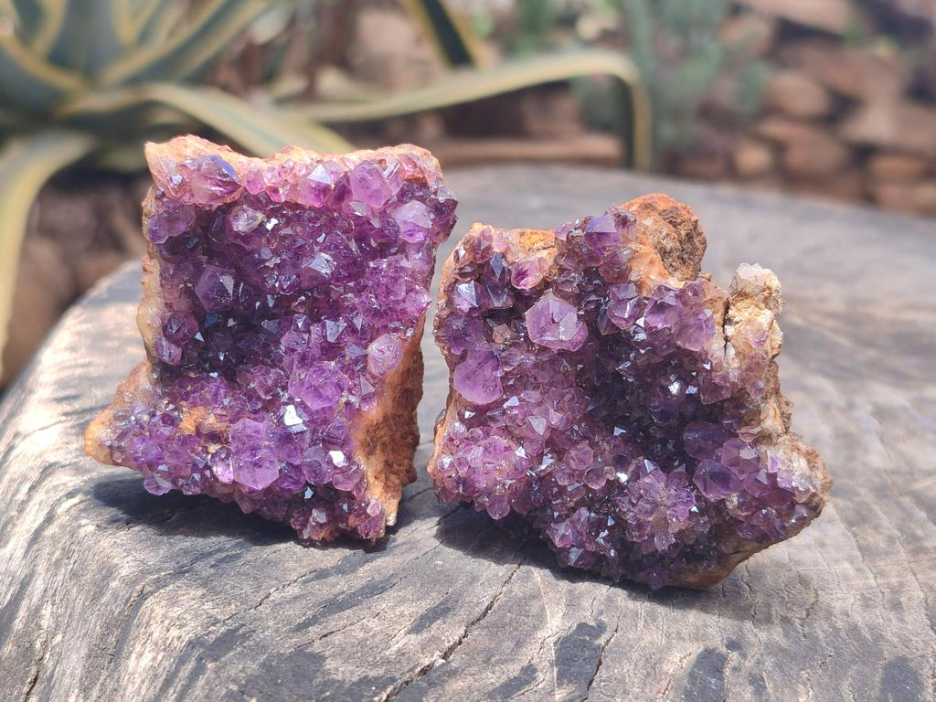 Natural Dark Purple Amethyst Spirit Quartz Clusters x 5 From Boekenhouthoek, South Africa