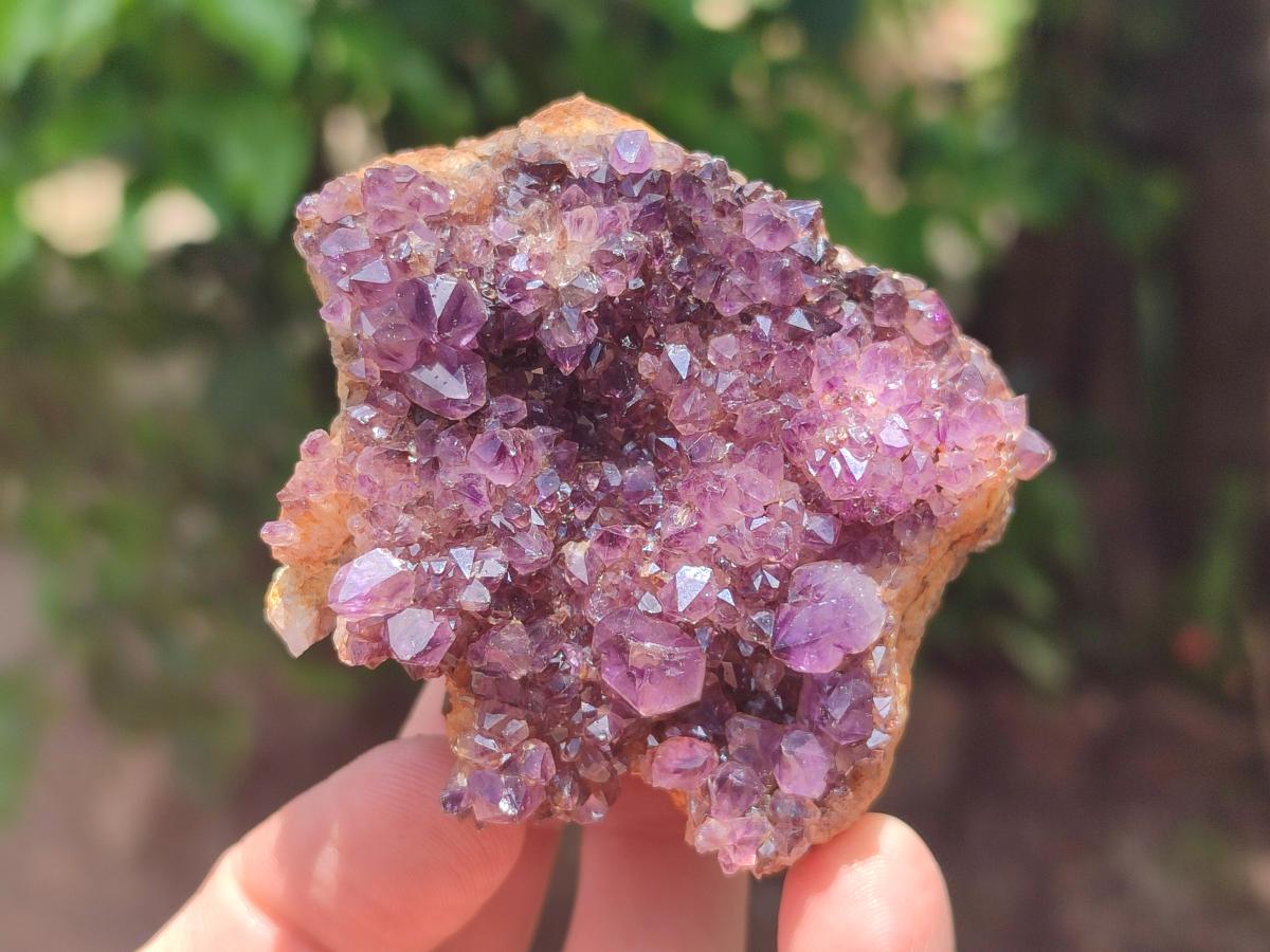 Natural Dark Purple Amethyst Spirit Quartz Clusters x 5 From Boekenhouthoek, South Africa