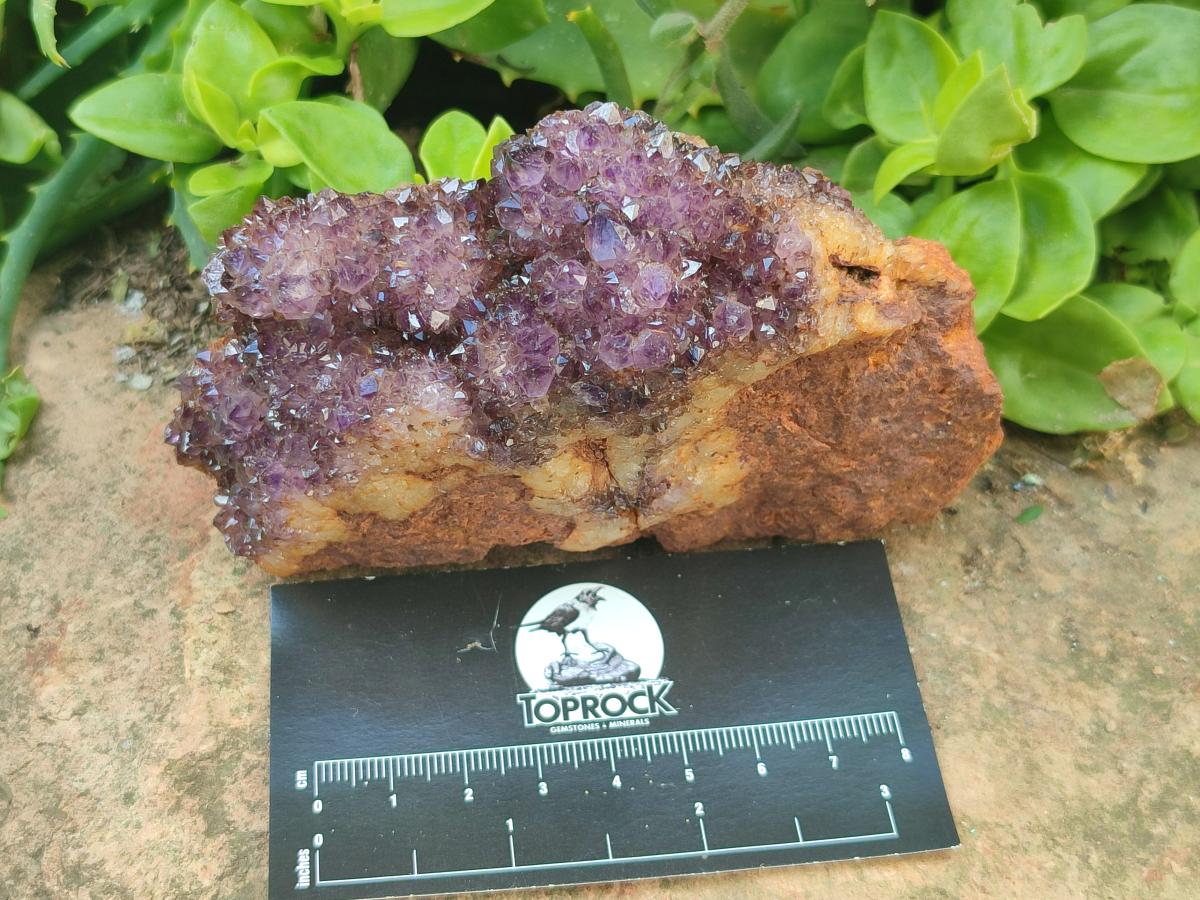 Natural Dark Purple Amethyst Spirit Quartz Clusters x 5 From Boekenhouthoek, South Africa