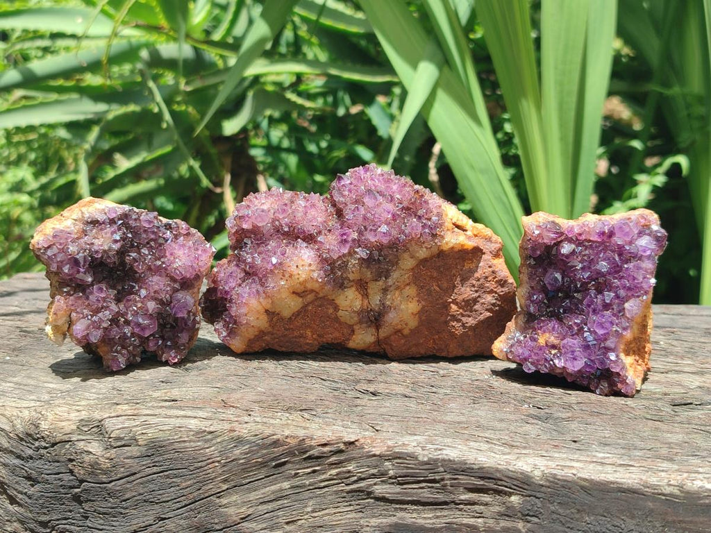 Natural Dark Purple Amethyst Spirit Quartz Clusters x 5 From Boekenhouthoek, South Africa