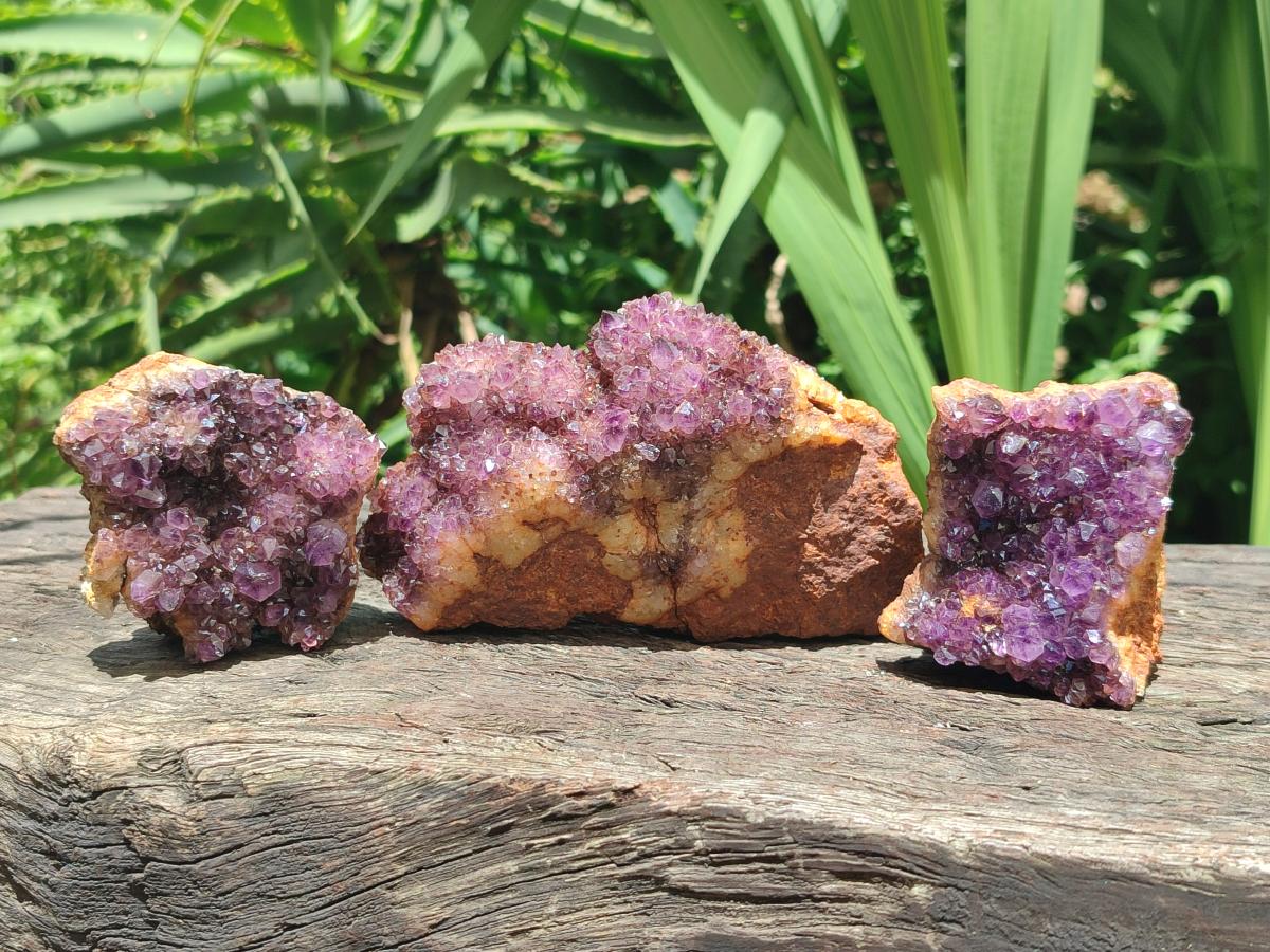 Natural Dark Purple Amethyst Spirit Quartz Clusters x 5 From Boekenhouthoek, South Africa