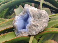 Natural Blue Lace Agate Geode Specimens x 3 From Nsanje, Malawi