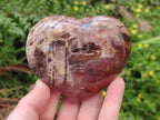 Polished Red Podocarpus Petrified Wood Hearts x 6 From Mahajanga, Madagascar