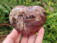 Polished Red Podocarpus Petrified Wood Hearts x 6 From Mahajanga, Madagascar