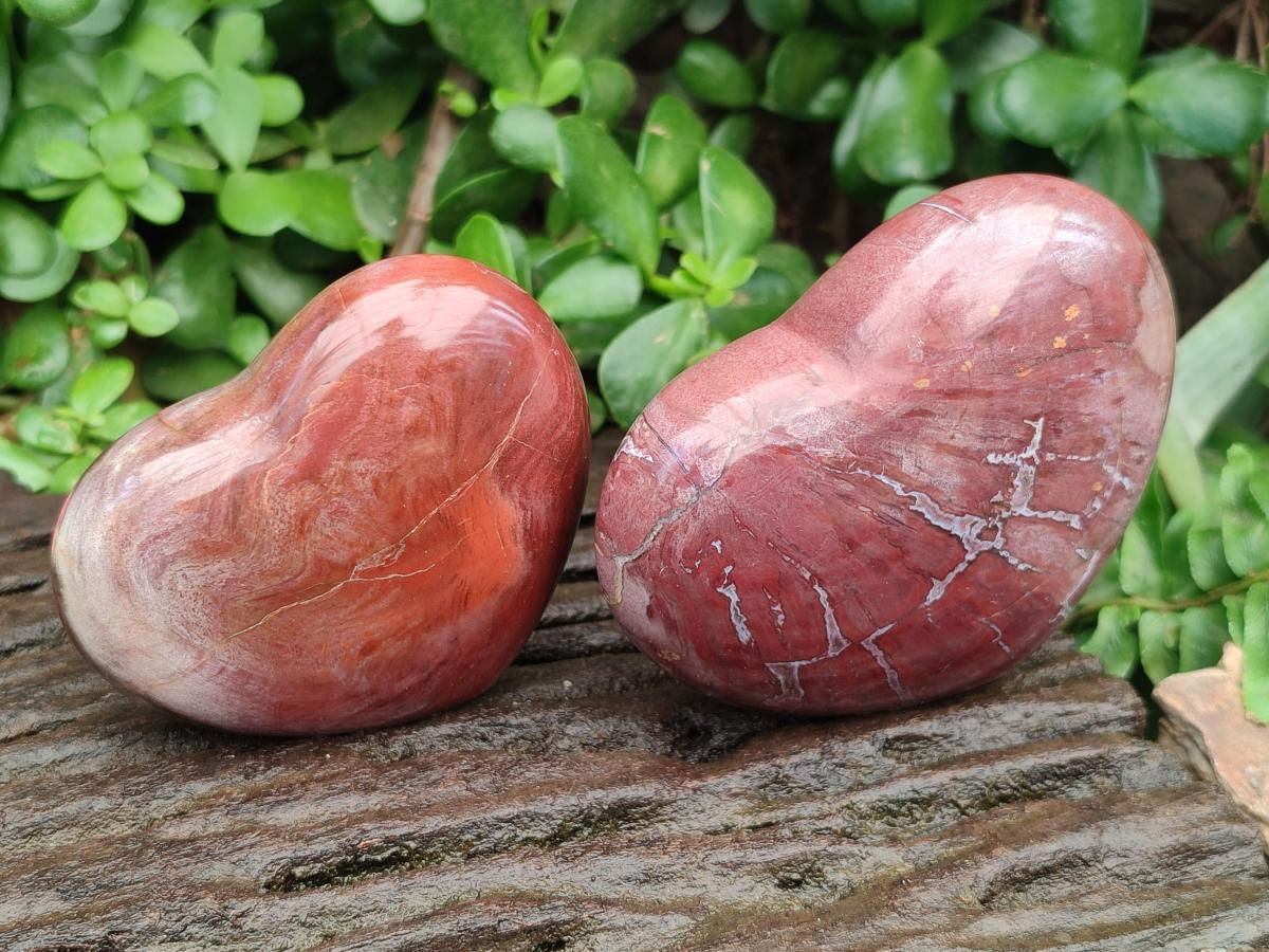 Polished Red Podocarpus Petrified Wood Hearts x 6 From Mahajanga, Madagascar