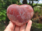 Polished Red Podocarpus Petrified Wood Hearts x 6 From Mahajanga, Madagascar