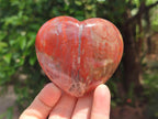 Polished Red Podocarpus Petrified Wood Hearts x 6 From Mahajanga, Madagascar