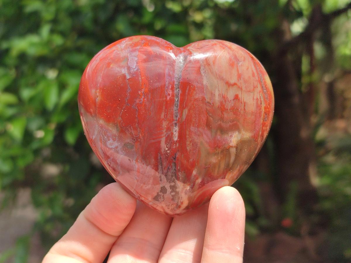 Polished Red Podocarpus Petrified Wood Hearts x 6 From Mahajanga, Madagascar