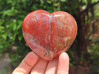 Polished Red Podocarpus Petrified Wood Hearts x 6 From Mahajanga, Madagascar