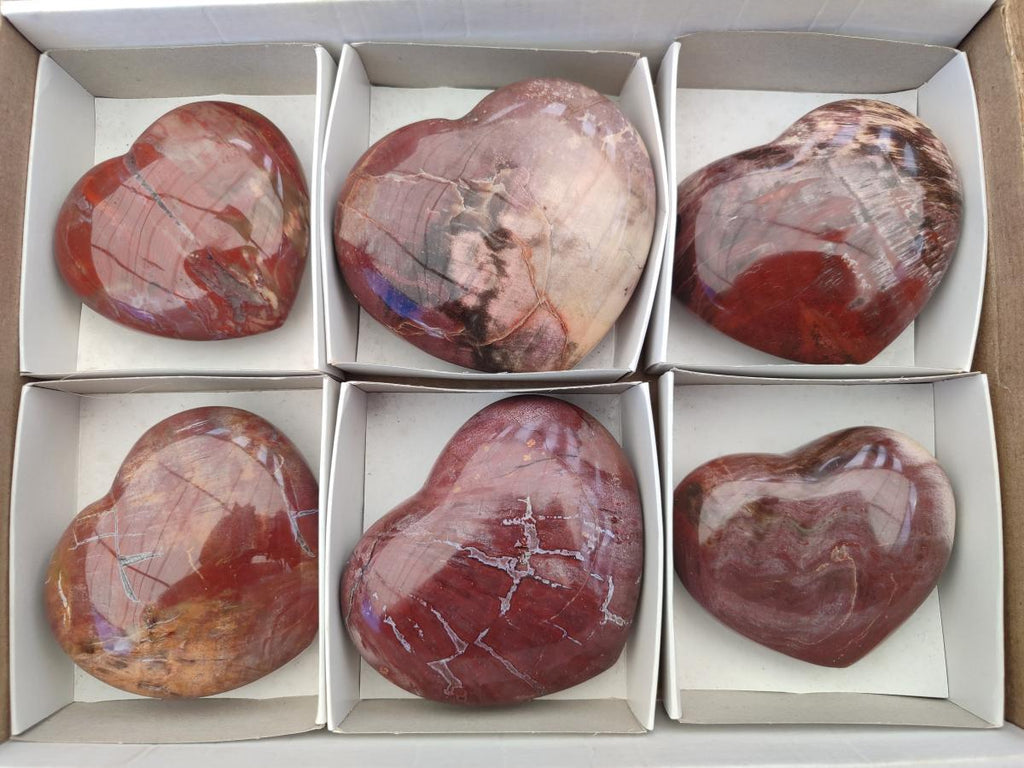 Polished Red Podocarpus Petrified Wood Hearts x 6 From Mahajanga, Madagascar