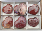 Polished Red Podocarpus Petrified Wood Hearts x 6 From Mahajanga, Madagascar