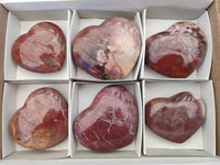 Polished Red Podocarpus Petrified Wood Hearts x 6 From Mahajanga, Madagascar