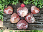 Polished Red Podocarpus Petrified Wood Hearts x 6 From Mahajanga, Madagascar