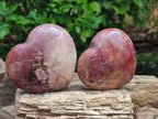Polished Red Podocarpus Petrified Wood Hearts x 6 From Mahajanga, Madagascar