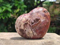 Polished Red Podocarpus Petrified Wood Hearts x 6 From Mahajanga, Madagascar