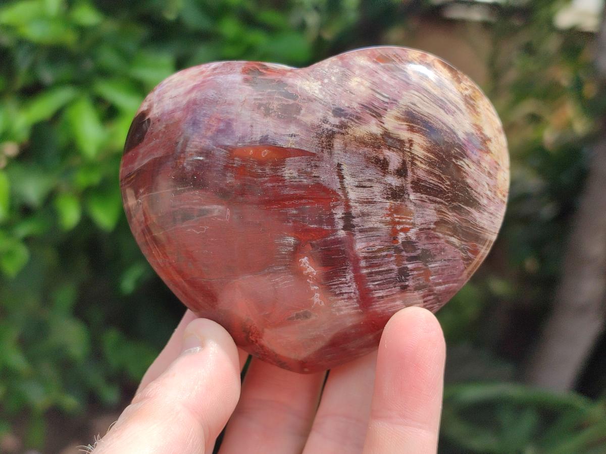 Polished Red Podocarpus Petrified Wood Hearts x 6 From Mahajanga, Madagascar