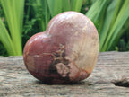 Polished Red Podocarpus Petrified Wood Hearts x 6 From Mahajanga, Madagascar